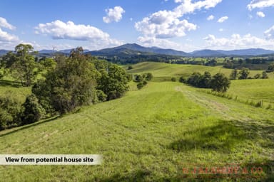 Property 444 North Arm Road, Argents Hill NSW 2449 IMAGE 0
