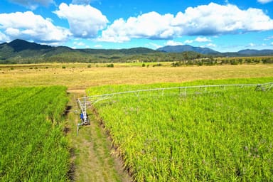 Property Lot 4 Marge Camerons Road, MARIAN QLD 4753 IMAGE 0