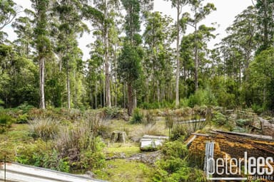 Property 395 Mountain Road, Lilydale TAS 7268 IMAGE 0