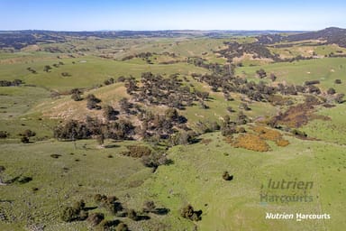 Property Lot 1 Odwyers Road, FORBES VIC 3764 IMAGE 0
