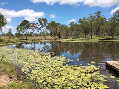 Property 83 Hofsetter Road, MORGANVILLE QLD 4671 IMAGE 0