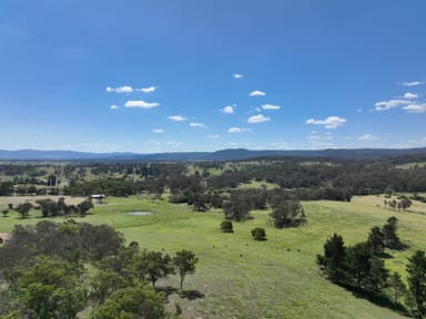 Property 409 Mount Lindesay Road, Tenterfield NSW 2372 IMAGE 0