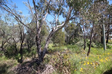 Property Lot 3 Calvert Road, Glen Aplin QLD 4381 IMAGE 0