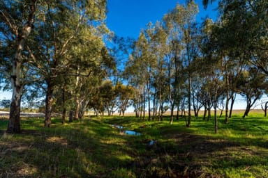 Property PROPOSED LOT 252 Muluckine Road, GRASS VALLEY WA 6403 IMAGE 0