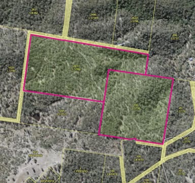 Property Lot 195 Mt Coora Road, Black Snake QLD 4600 IMAGE 0