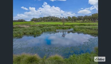 Property 311 Stabiles Road, Glen Aplin QLD 4381 IMAGE 0