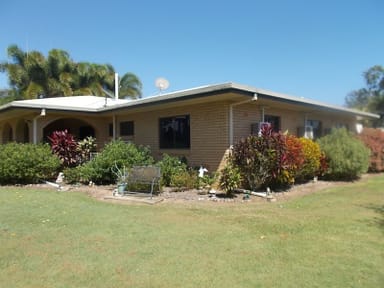 Property 460 Springs Road, PADDYS GREEN QLD 4880 IMAGE 0