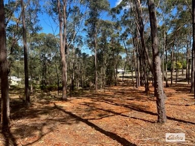Property Lot B Bournda Park Way, Wallagoot NSW 2550 IMAGE 0