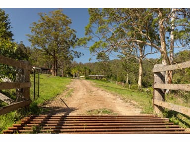 Property 185 Sawyers Creek Road, WILLINA NSW 2423 IMAGE 0