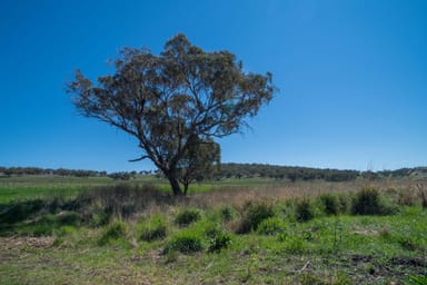 Property 'East View' Racecourse Road, CASSILIS NSW 2329 IMAGE 0