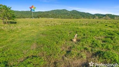 Property Lot 14 Kruckow Road, EAST RUSSELL QLD 4861 IMAGE 0