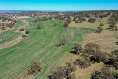 Property 'East View' Racecourse Road, CASSILIS NSW 2329 IMAGE 0