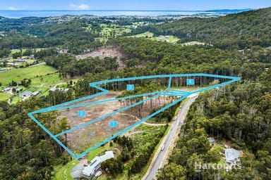 Property Lots 1-4 Forest Heights Drive, TUGRAH TAS 7310 IMAGE 0