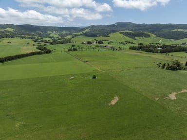 Property Lot 3003 - Grasmere Rose Valley Road, ROSE VALLEY NSW 2534 IMAGE 0