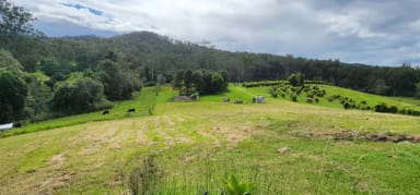 Property 2014 TAYLORS ARM ROAD, TAYLORS ARM NSW 2447 IMAGE 0