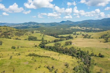 Property 1331 Forbes River Road, Long Flat NSW 2446 IMAGE 0