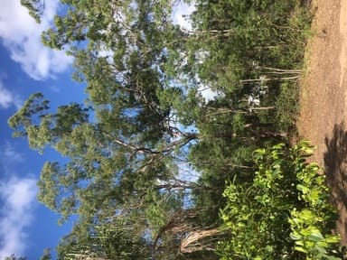Property Lot 3 Goffages Road, Mount Chalmers QLD 4702 IMAGE 0