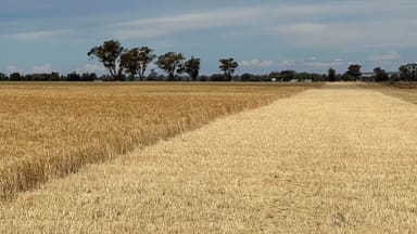 Property . Wide Lane, OSBORNE NSW 2656 IMAGE 0