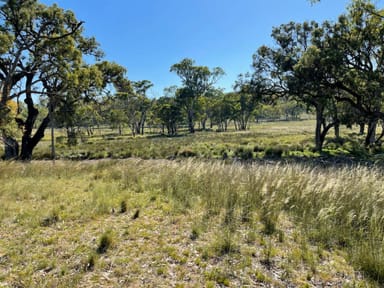 Property LOT 1 Stanthorpe - Inglewood Rd, Pikedale QLD 4380 IMAGE 0