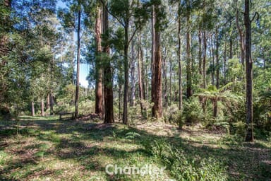 Property 1 Misty Gully, Menzies Creek VIC 3159 IMAGE 0