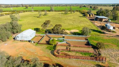 Property 76 Holzigals Road, FINLEY NSW 2713 IMAGE 0