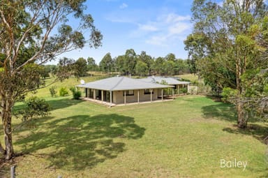 Property 41 Blind Creek Road, Glendon Brook NSW 2330 IMAGE 0