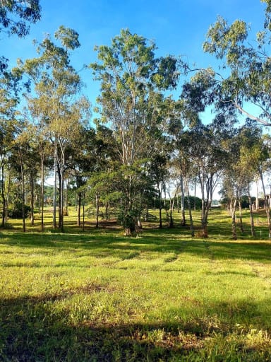 Property 49 GILLIES ROAD, STRATHDICKIE QLD 4800 IMAGE 0