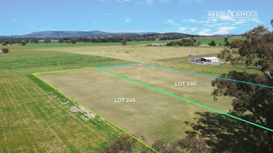 Property Lot 245 & 246 Manganese Road, GRENFELL NSW 2810 IMAGE 0