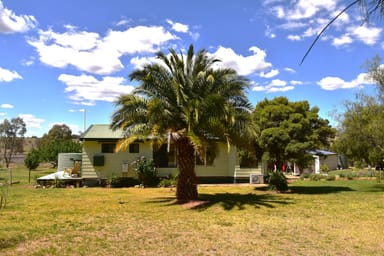 Property 75 Tarrawingee Road Mumbil via, WELLINGTON NSW 2820 IMAGE 0