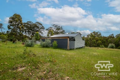 Property 29 Catarrh Creek Road, TORRINGTON NSW 2371 IMAGE 0