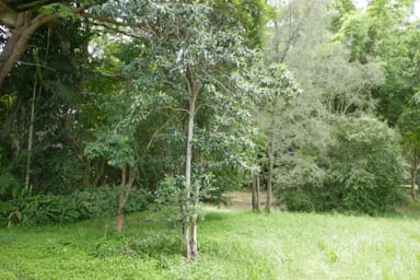 Property 117 Bowen Road, GLASS HOUSE MOUNTAINS QLD 4518 IMAGE 0