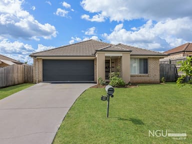 Property 8 Dornoch Crescent, Raceview QLD 4305 IMAGE 0