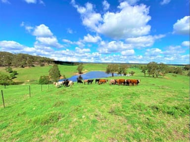 Property 293 Fisher Road, Bungonia NSW 2580 IMAGE 0