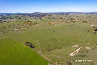 Property Lot 1 Odwyers Road, FORBES VIC 3764 IMAGE 0