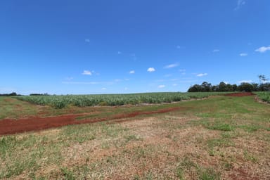 Property 248 Tardas Road, NORTH GREGORY QLD 4660 IMAGE 0