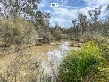 Property 886 Stannifer Rd, Inverell NSW 2360 IMAGE 0