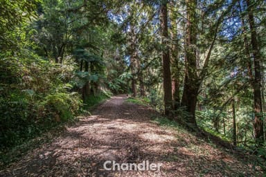 Property 1 Misty Gully, Menzies Creek VIC 3159 IMAGE 0
