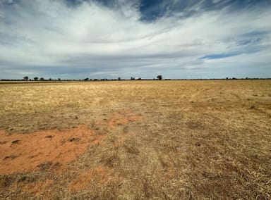 Property . Wide Lane, OSBORNE NSW 2656 IMAGE 0