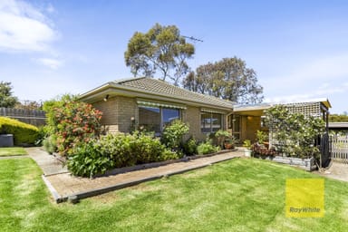 Property 24 Allambee Avenue, GROVEDALE VIC 3216 IMAGE 0