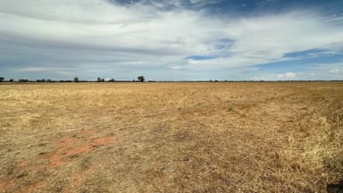 Property . Wide Lane, OSBORNE NSW 2656 IMAGE 0