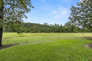 Property 558 Lamington National Park Road, Canungra QLD 4275 IMAGE 0