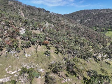 Property lot 3, 7553 New England Highway, Tenterfield NSW 2372 IMAGE 0