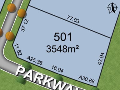 Property Lot 501 Pistacia Grove, BRANXTON NSW 2335 IMAGE 0