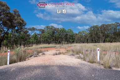 Property 19, Marshall Way, EMMAVILLE NSW 2371 IMAGE 0