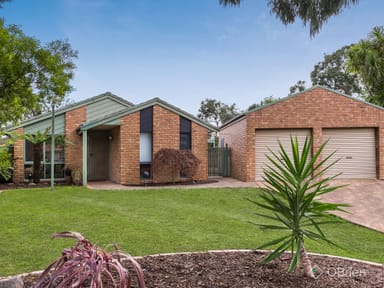 Property 17 Chandos Place, Langwarrin VIC 3910 IMAGE 0
