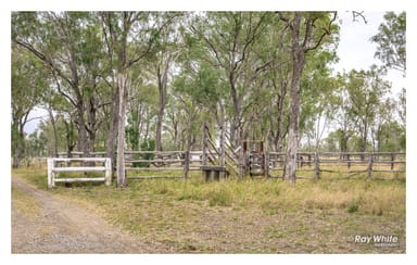 Property 191 Roope Road, PORT CURTIS QLD 4700 IMAGE 0