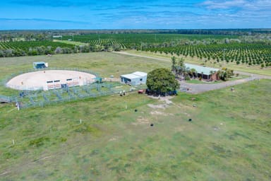Property 123 Lakeview Drive, ALLOWAY QLD 4670 IMAGE 0