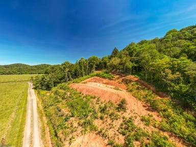 Property Lot 11 Whitehead Road, Lower Cowley QLD 4871 IMAGE 0