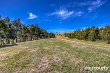 Property 136 O'Tooles Road, WILD DOG VALLEY VIC 3953 IMAGE 0