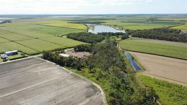 Property 163 Gillens Creek Road, ALLOWAY QLD 4670 IMAGE 0